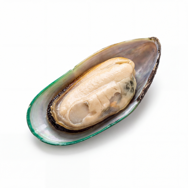 Green-Lipped Mussels